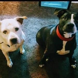 Meet your Posher, Sean